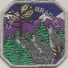 Camp Bradley - Silver Boarder