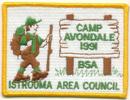 1991 Camp Avondale