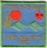 1982 Camp Palmetto