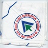 Blue Ridge Scout Reservation Neckerchief White