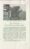 (08) 1922 Camp Burroughs - Booklet - Page 7