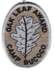Camp Bucoco - Silver Oak Leaf Award