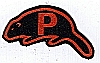 Camp Pomperaug - Beaver Award