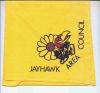 1964 Camp Jayhawk