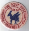 Roaring Run Scout Reservation Mulebees
